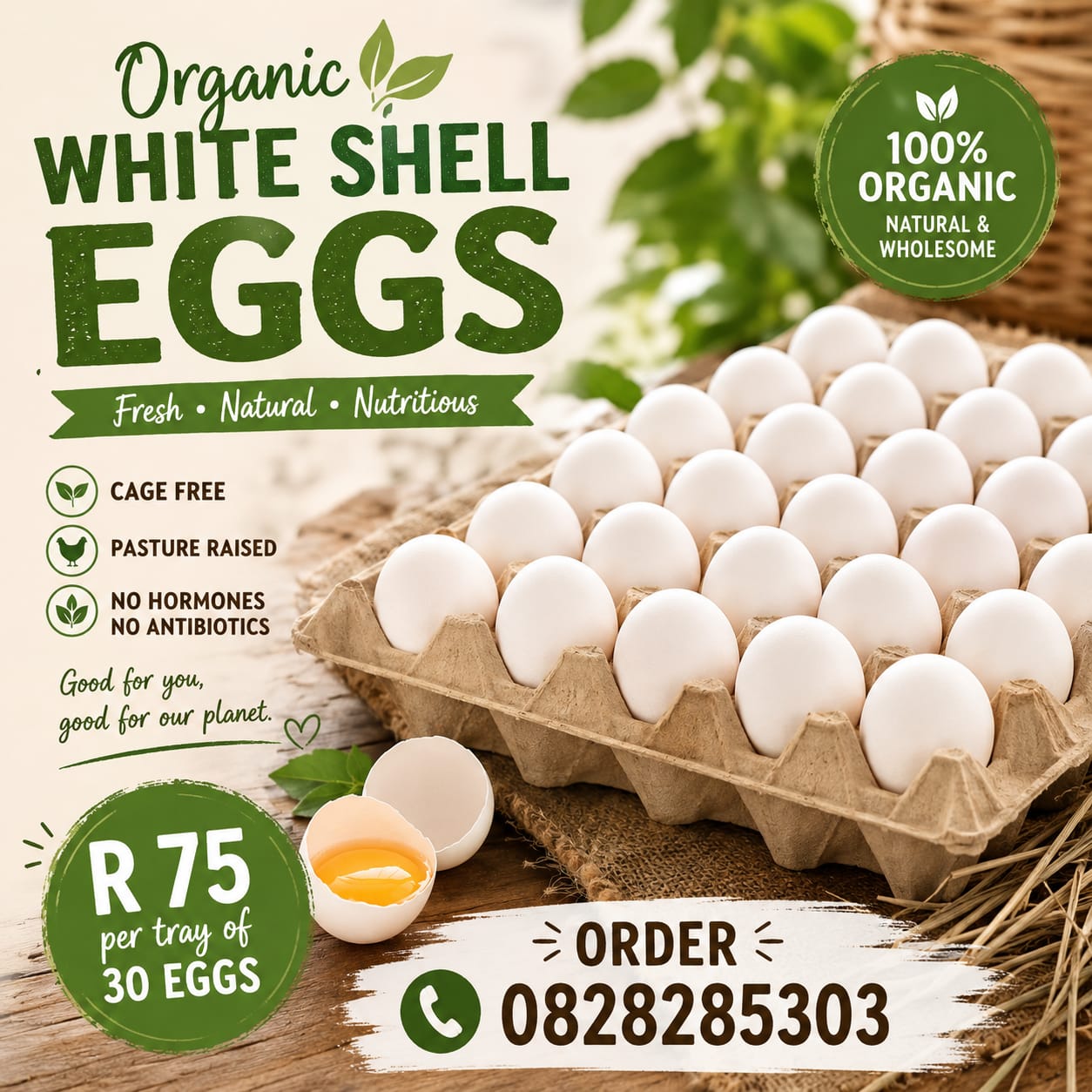White Eggs